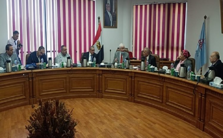  A cooperation protocol between the Egyptian Russian University and the Leather City